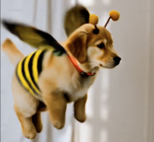 Transformez votre animal en une adorable abeille