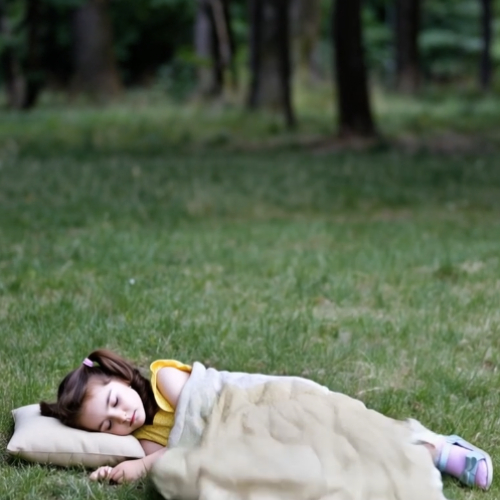 Transformez vos Photos en Rêves Instantanés !